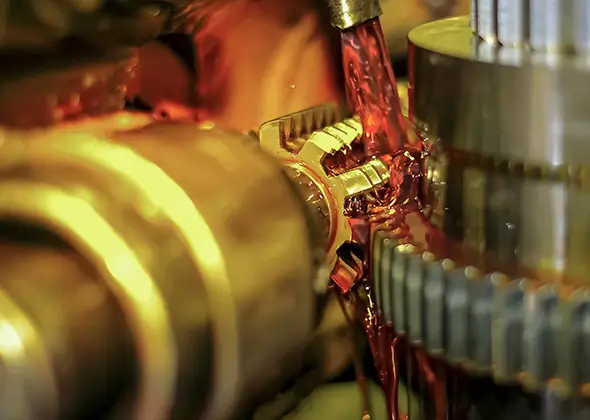 Sustainable Lubricants